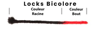 Bicolore